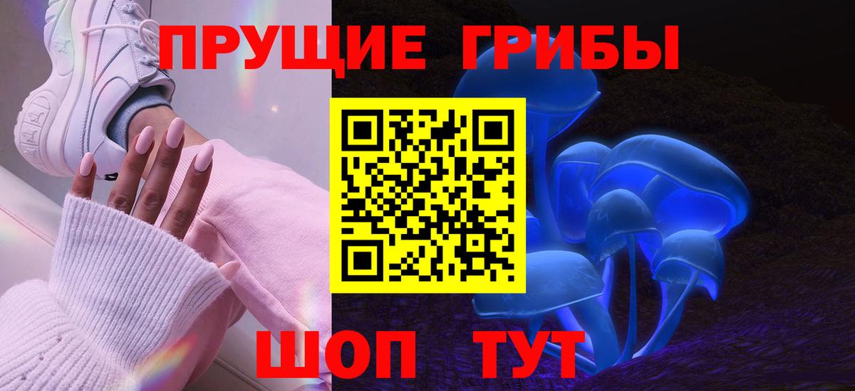 Донецк  Галлюциногенные грибы Psilocybine cubensis  наркошоп  Вход с VPN  Псилоцибиновые грибы GOLDEN TEACHER 